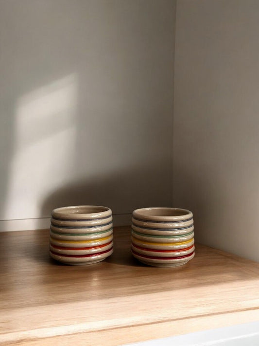 Set van 2 regenboogkopjes